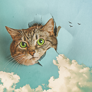 ༄༊࿆J💞Jღ᭄ꦿ࿐
